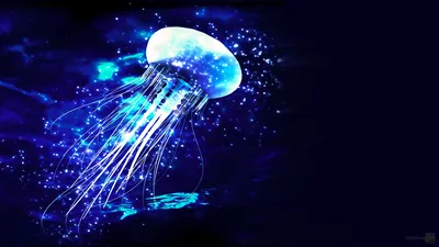 Anime Wallpaper 1918x1078 Abstract Wallpaper 4K 1918x1078 Ultrawide