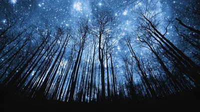 Dark Starry Wallpaper Wallpaper 4K, Space category