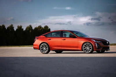 Orange Cadillac Ct5 Wallpaper 4K, Nature category