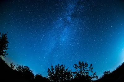 Epic Plants Wallpaper Wallpaper 4K, Space category