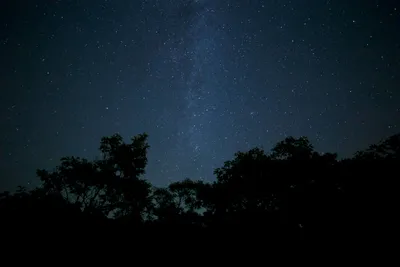 Tree Silhouette During Wallpaper 4K, Space category