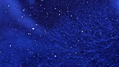 Bright Starry Wallpaper Wallpaper 4K, Space category