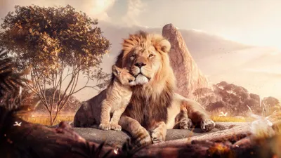 Lion Cave Animals Wallpaper 4K, Animals category