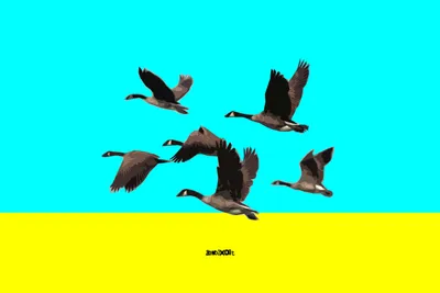 Ducks Abstract Abstract Wallpaper 4K 3090x2060 Ducks, Yellow, Pink, Landscape, QHD