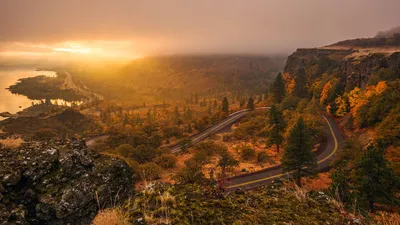 Misty Photography Wallpaper Nature Wallpaper 4K 1920x1080 Hd, Photography, Of, A, Winding, Road, Through, Forested, Landscape, Sunrise, Captured, Vibrant, Gray, Ultrawide, Full HD