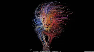 Mac Lion Animals Wallpaper 4K, Animals category