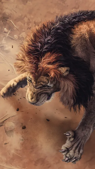Wild Lion Wallpaperbat Animals Wallpaper 4K 1440x2560 Brown, Gray