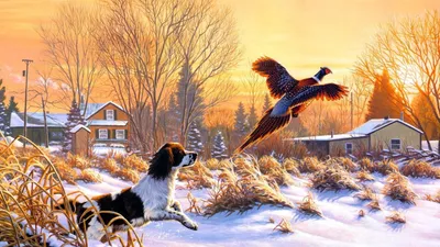 Vibrant Artistic Wallpaper Nature Wallpaper 4K 1920x1080 Artistic, Hd, Desktop, Wallpaper, Depicting, A, Winter, Village, Scene, (dog), Chasing, Bird, White, Ultrawide, Full HD