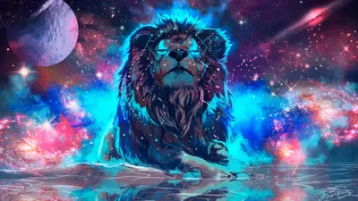 Serene Lion Wallpaper Wallpaper 4K, Animals category