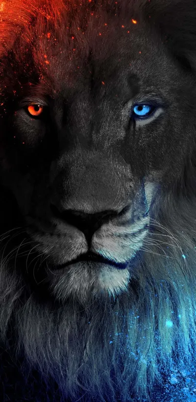 Black Lion Your Device Wallpaper 4K, Animals category