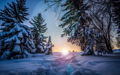 Dark Winter Wallpaper Wallpaper 4K, Nature category
