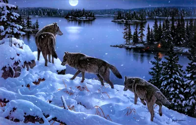 Serene Three Wallpaper Nature Wallpaper 4K 2496x1595 Three, Wolves, Tread, Through, The, Snowy, Landscape, Under, Moonlit, Sky, Serene, Lake, Pink, Gray, Ultrawide, Full HD