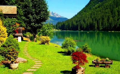 Definition Nature Wallpapersafari Nature Wallpaper 4K 1527x943 Yellow, White
