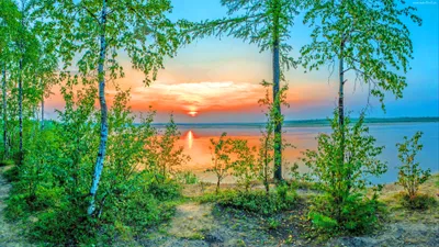 Golden Serene Wallpaper Nature Wallpaper 4K 3840x2160 A, Serene, Lake, At, Sunset, Framed, By, Birch, Trees, Lush, Greenery, Vibrant, Pink, Yellow, Purple, Ultrawide, 4K