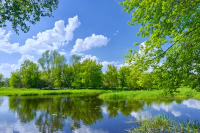 Crisp Sunny Wallpaper Nature Wallpaper 4K 3840x2555 A, Sunny, Spring, Landscape, With, Lush, Green, Trees, Reflected, Calm, Lake, Captured, Pink, Gray, Ultrawide, 4K