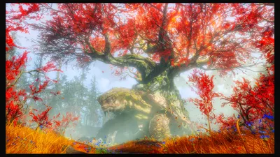 Depicting Mystical Forest Nature Wallpaper 4K 1920x1080 Hd, Pc, Desktop, Wallpaper, Depicting, A, Mystical, Forest, Scene, God, War, Large, Gray, White, Ultrawide, Full HD