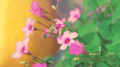 Anime Wallpaper 1918x1078 Abstract Wallpaper 4K 1918x1078 Ultrawide