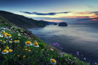 Sky Flower Horizon Ocean Nature Wallpaper 4K 2048x1367 Sky, Flower, Horizon, Ocean, Nature, Coast, Coastline, Hd, Desktop, Gray, Landscape, Full HD