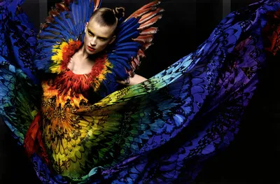Serene Colorful Wallpaper Abstract Wallpaper 4K 1920x1262 Colorful, Artistic, Hd, Desktop, Wallpaper, Of, A, Woman, Adorned, Vibrant, Feathered, Costume, Brown, Ultrawide, Full HD
