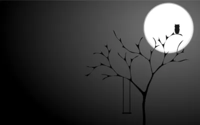 Dark Artistic Silhouette Space Wallpaper 4K 1920x1200 Hd, Desktop, Wallpaper, Featuring, A, Dark, Artistic, Silhouette, Owl, Perched, Tree, Branch, White, Brown, Ultrawide, Full HD