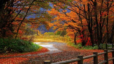 Epic Vibrant Wallpaper Wallpaper 4K, Nature category