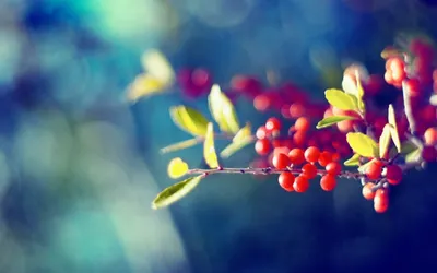 Anime Wallpaper 2558x1598 Abstract Wallpaper 4K 2558x1598 Full HD, Ultrawide