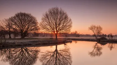 Radiant Serene Wallpaper Nature Wallpaper 4K 3840x2160 Serene, Scene, With, Trees, Reflected, In, Calm, Water, Sun, Sets, Behind, Leafless, Gray, Ultrawide, 4k
