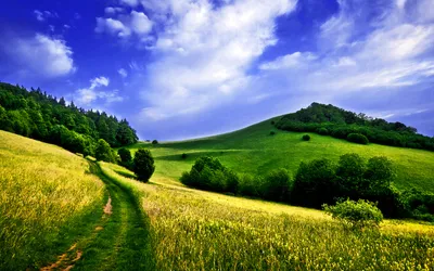 Bright Vibrant Wallpaper Wallpaper 4K, Nature category