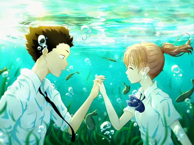 Crisp Shouya Wallpaper Animals Wallpaper 4K 1920x1440 Hd, Desktop, Wallpaper, Featuring, Shouya, Ishida, And, Shouko, Nishimiya, Anime, Silent, Voice, White, Yellow, Landscape, Full HD