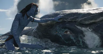 Avatar Way Water Character Touching Nature Wallpaper 4K 2048x1080 Hd, Desktop, Wallpaper, From, Avatar:, The, Way, Of, Water, Featuring, 039, White, Gray, Ultrawide, Full HD