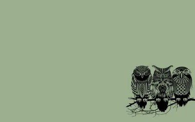 Animal Owl Animals Animals Wallpaper 4K 1920x1200 Animal:, Owl, Hd, Desktop, Wallpaper, Background, Image, Gray, Ultrawide, Full HD