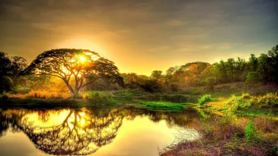 Calm Nature Wallpaper Wallpaper 4K, Nature category