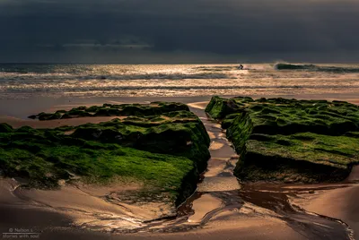 Beach Portugal Nelson Louren Nature Wallpaper 4K 1920x1285 Beach, In, Portugal, By, Nelson, Lourenço, Louren, Gray, Brown, Landscape, Full HD