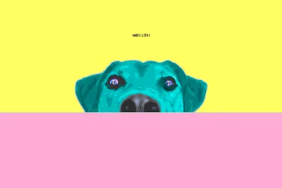 Misty Cyan Wallpaper Animals Wallpaper 4K 3219x2146 Cyan, Dog, On, Yellow, And, Pink, White, Landscape, QHD