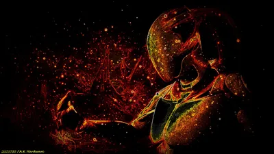 Glowing Alien Figure Dark Space Wallpaper 4K 1920x1080 Hd, Pc, Desktop, Wallpaper, Featuring, A, Glowing, Alien, Figure, Dark, Cosmic, Space, Black, Brown, Ultrawide, Full HD
