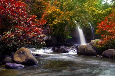 Vivid Capturing Wallpaper Wallpaper 4K, Nature category