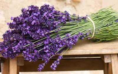 Sleek Vibrant Wallpaper Nature Wallpaper 4K 2560x1600 Hd, Desktop, Wallpaper, Featuring, A, Vibrant, Bundle, Of, Freshly, Picked, Lavender, Flowers, White, Ultrawide, QHD