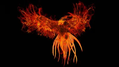 Vibrant Phoenix Rises Flames Fantasy Wallpaper 4K 1920x1080 A, Vibrant, Phoenix, Rises, From, Flames, Its, Vivid, Wings, Spread, Wide, Against, Black, Brown, Ultrawide, Full HD