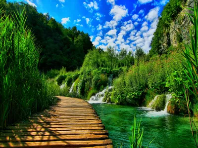 Nature Nature Wallpaper 4K, Nature category