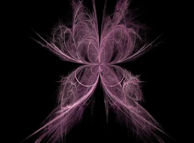 Abstract Pink Fractal Butterfly Animals Wallpaper 4K 1600x1182 Abstract, Pink, Fractal, Butterfly, On, Black, Hd, Desktop, Brown, Gray, Landscape