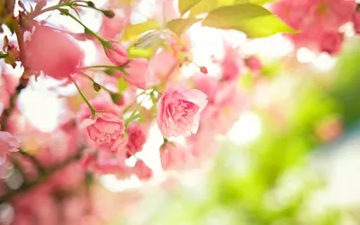 Bold Vibrant Wallpaper Wallpaper 4K, Abstract category