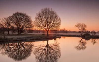 Radiant Serene Wallpaper Nature Wallpaper 4K 1920x1200 Hd, Pc, Desktop, Wallpaper, Featuring, Serene, Nature, With, Leafless, Trees, Reflecting, Perfectly, Gray, Ultrawide, Full HD