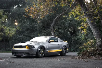 Silver Mustang Car Yellow Nature Wallpaper 4K 2300x1533 Hd, Pc, Desktop, Wallpaper, Silver, Ford, Mustang, Car, Yellow, Accents, Parked, Shaded, White, Gray, Brown, Ultrawide, Full HD