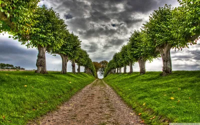 Nature Images Nature Wallpaper 4K, Nature category