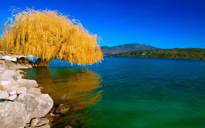 Golden Latest Wallpaper Nature Wallpaper 4K 2560x1600 Red