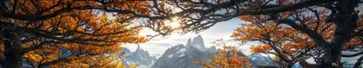 Dreamy Nature Wallpaper Nature Wallpaper 4K 3840x720 White