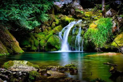 Nature Terbaru Keren Nature Wallpaper 4K 2262x1504 White, Gray