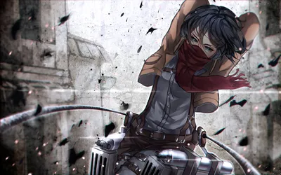 Bright Mikasa Wallpaper Abstract Wallpaper 4K 2000x1250 Hd, Desktop, Wallpaper, Featuring, Mikasa, Ackerman, From, The, Anime, Attack, Titan, Poised, White, Ultrawide, Full HD