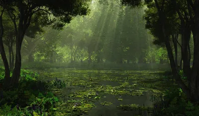 Misty Nature Wallpaper Nature Wallpaper 4K 2560x1500 Gray