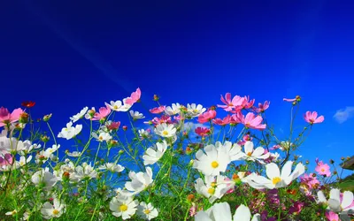 Anime Wallpaper 1918x1198 Abstract Wallpaper 4K 1918x1198 Ultrawide